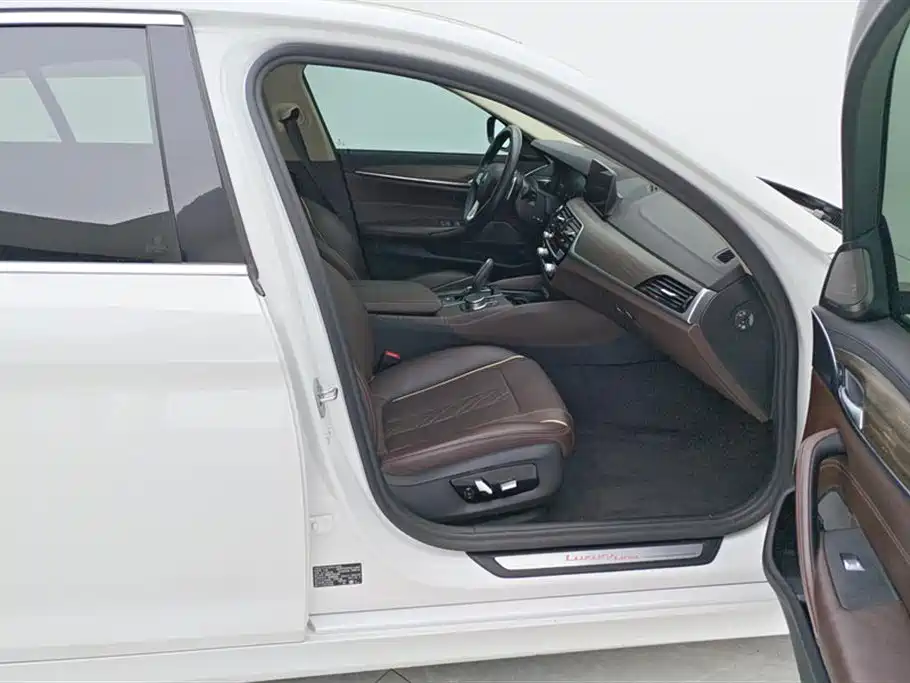 BMW 5 Series 2019 530Li Premium Luxury Package фото 8