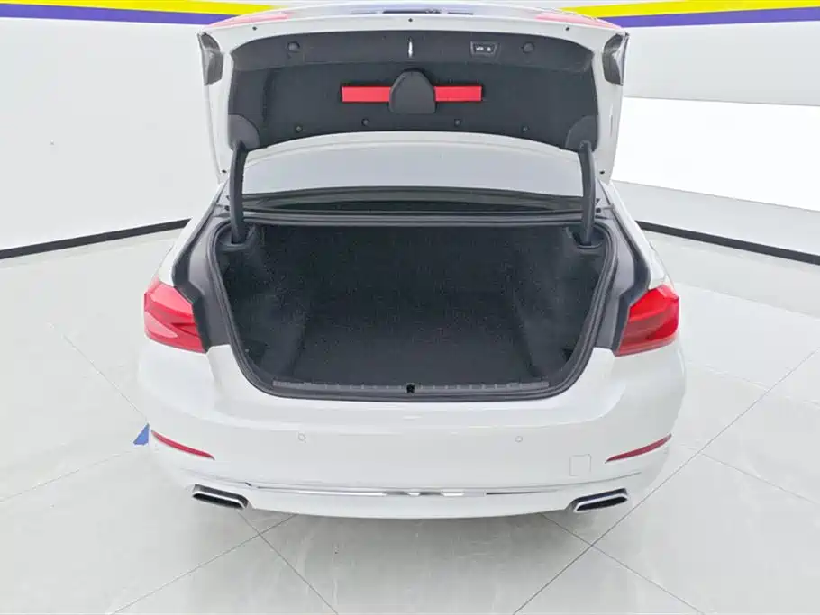 BMW 5 Series 2019 530Li Premium Luxury Package фото 4