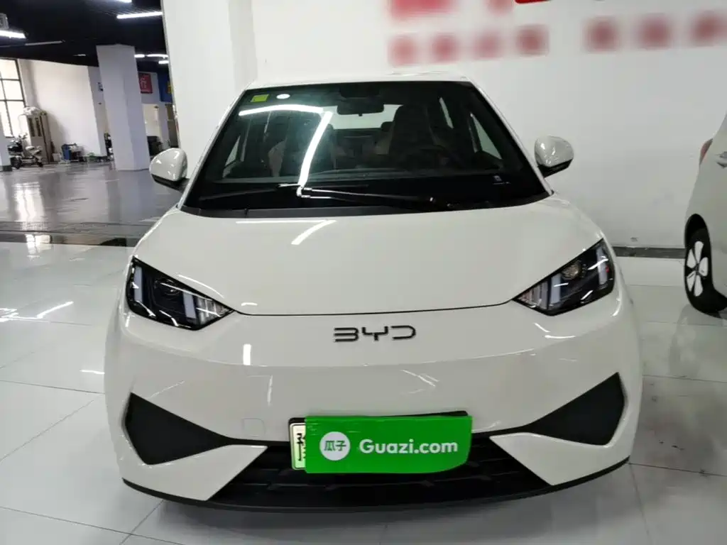 BYD Seagull 2026 2025 Smart Drive Edition 305km Vitality Version