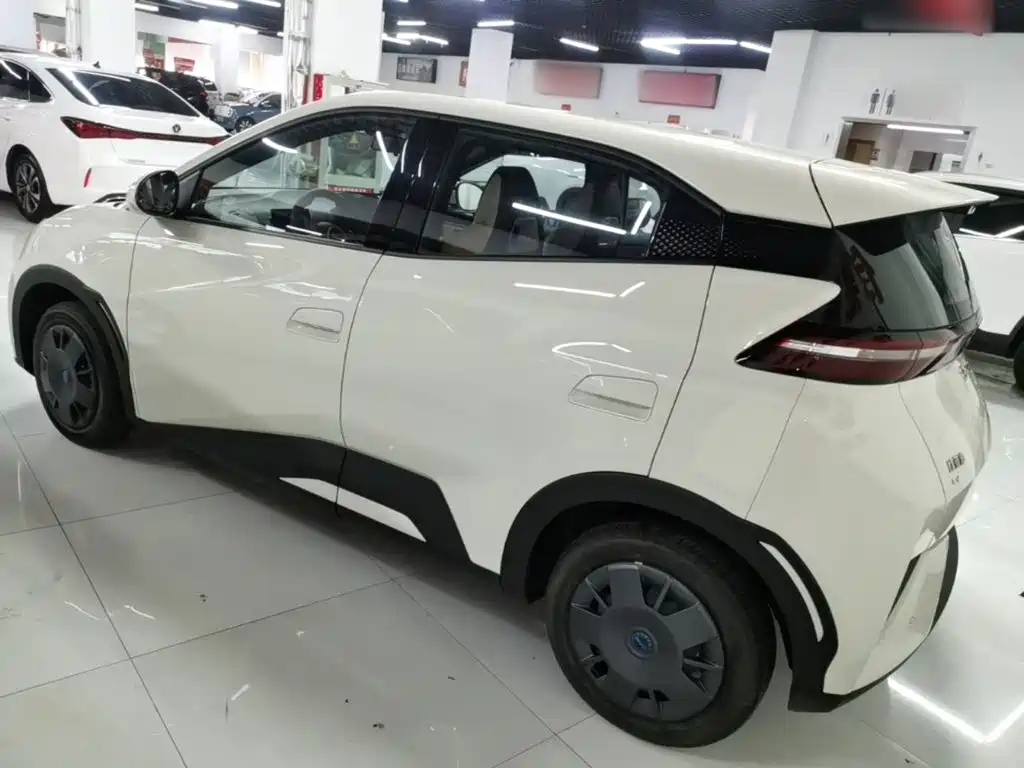 BYD Seagull 2026 2025 Smart Drive Edition 305km Vitality Version