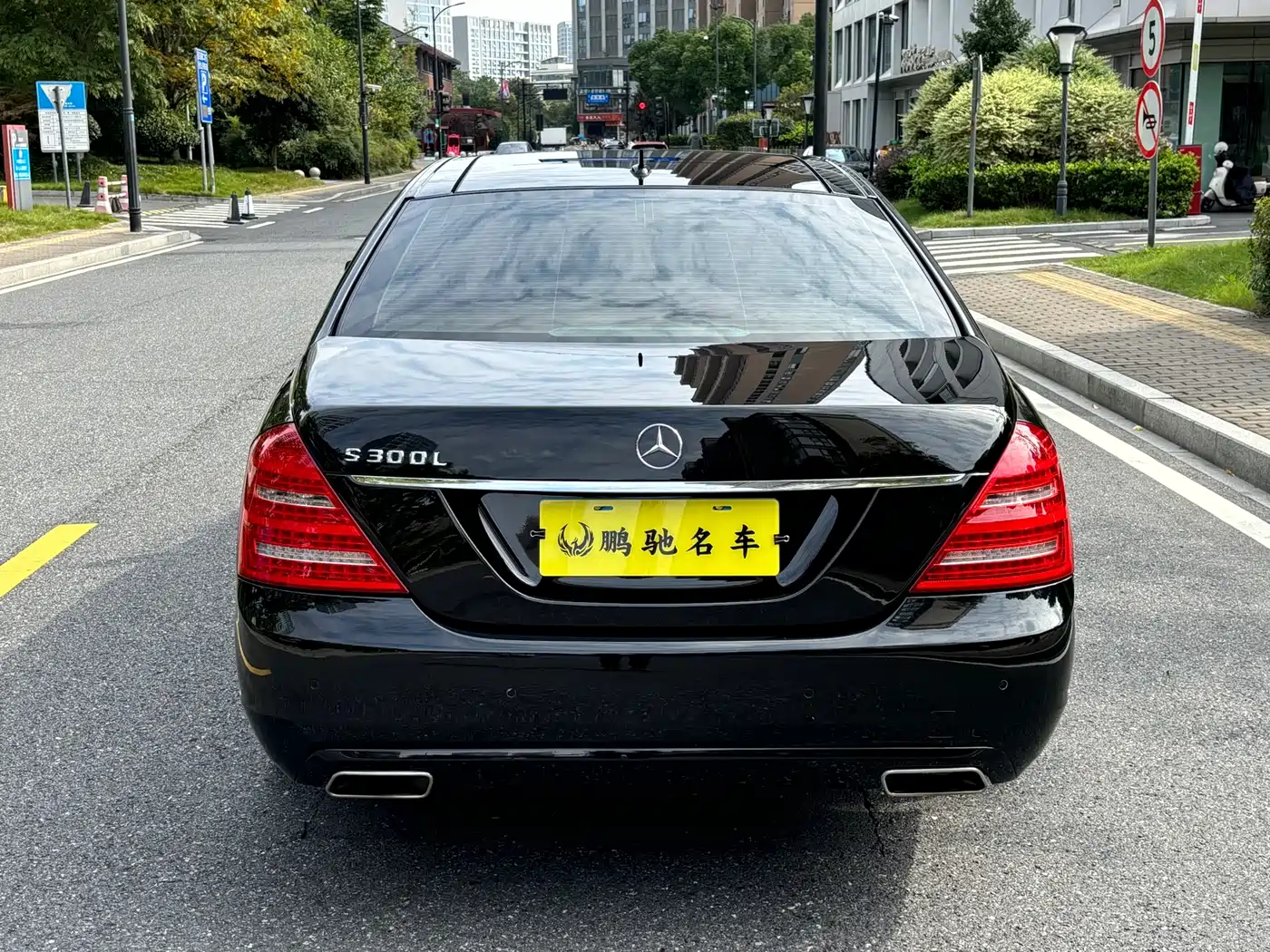 Mercedes-Benz S-Class 2012 S 300 L Luxury Grand Edition фото 2