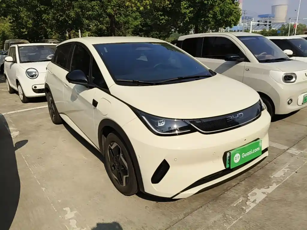 2026 BYD Dolphin