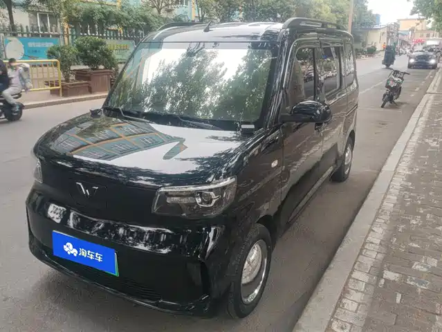  Wuling Motors Wuling Zhiguang NEV 2025 Model 305km Base Version