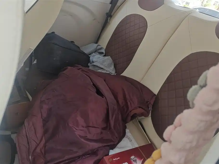 BESTUNE PENTIUM PONY