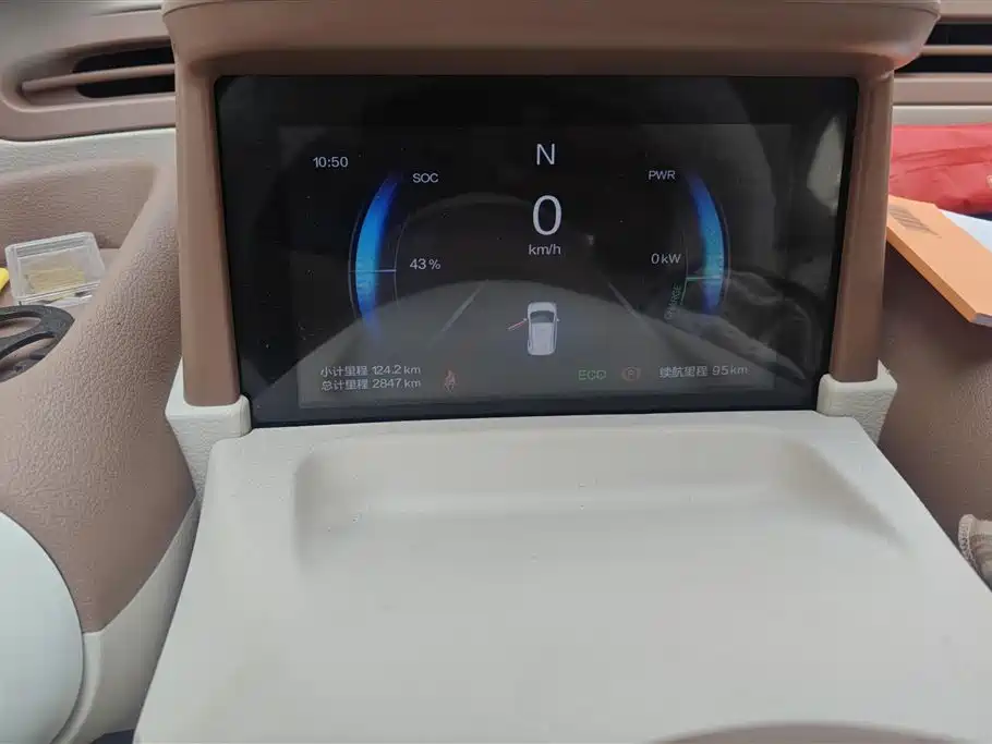 BESTUNE PENTIUM PONY