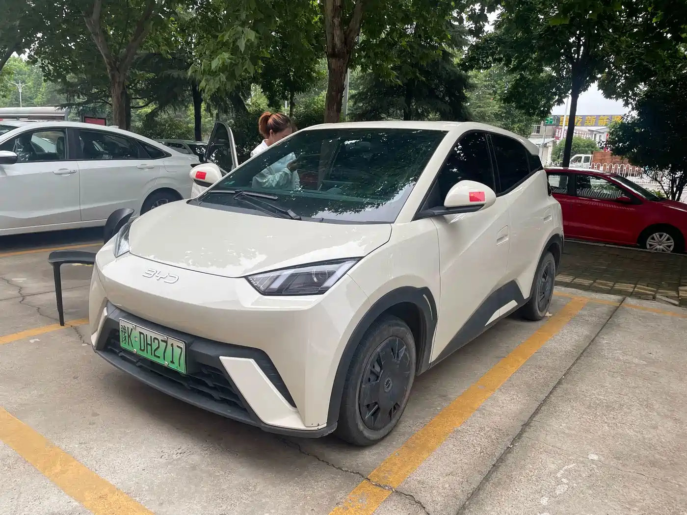 BYD Seagull 2024 Glory Edition 305km Vitality Edition