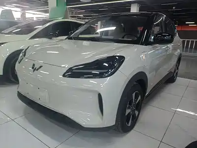 Wuling Bingo Plus