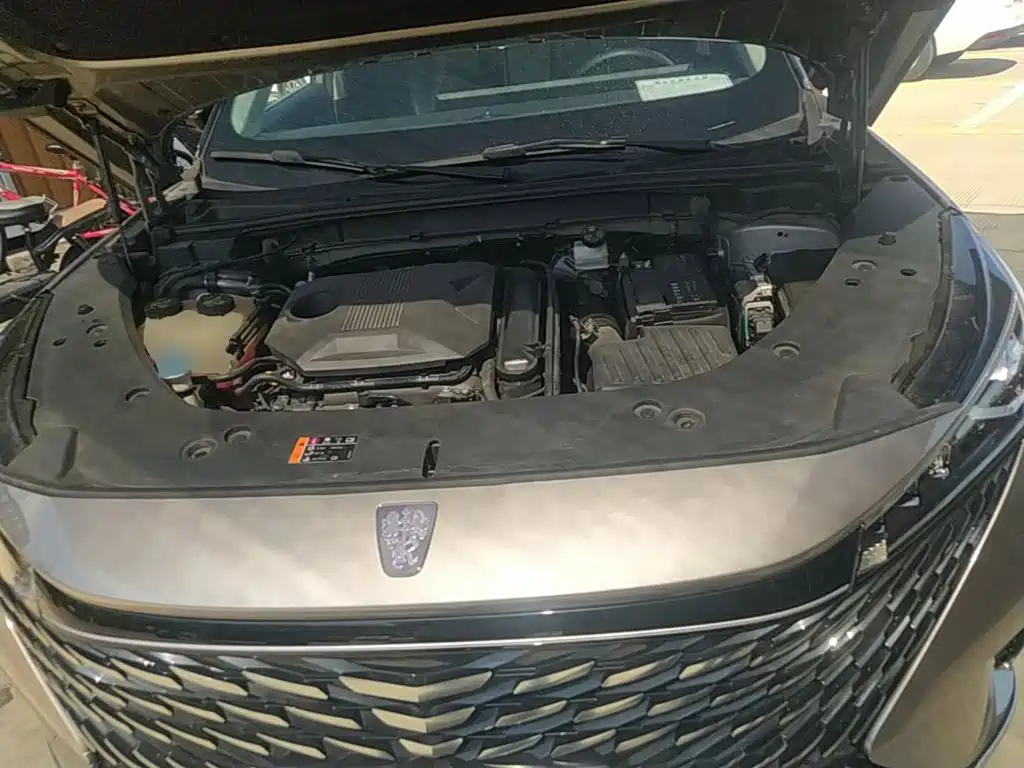 Photo 20 - Roewe RX5