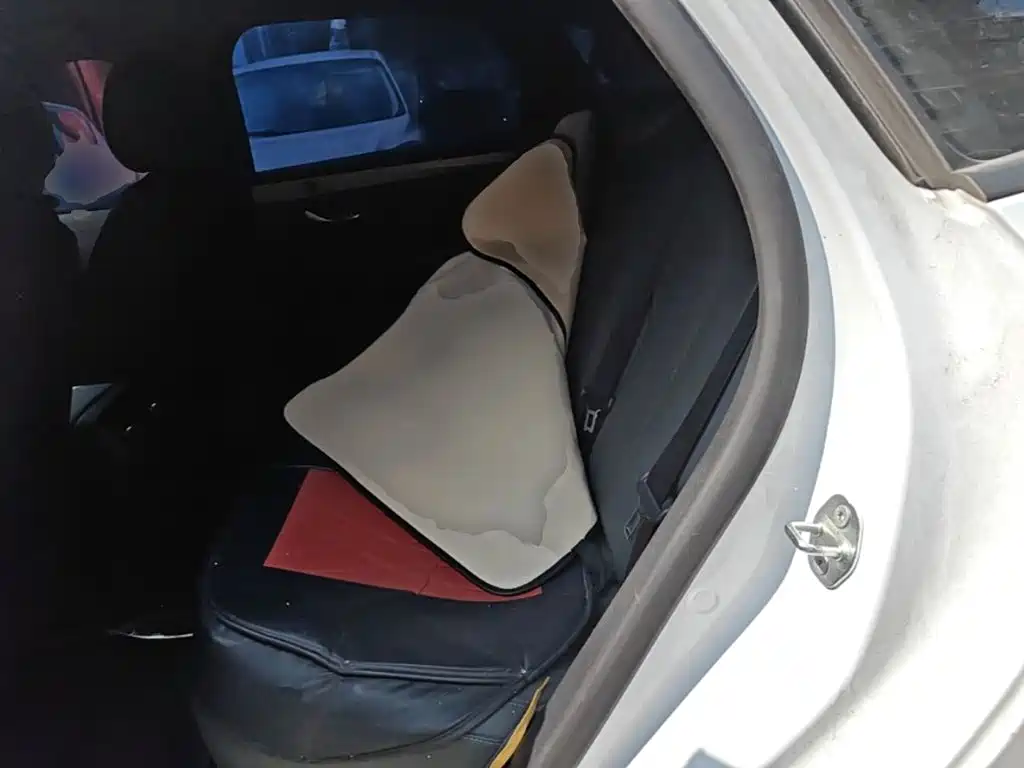 BYD Qin PLUS 2026 2026 EV Smart Drive Edition 510KM Progressive