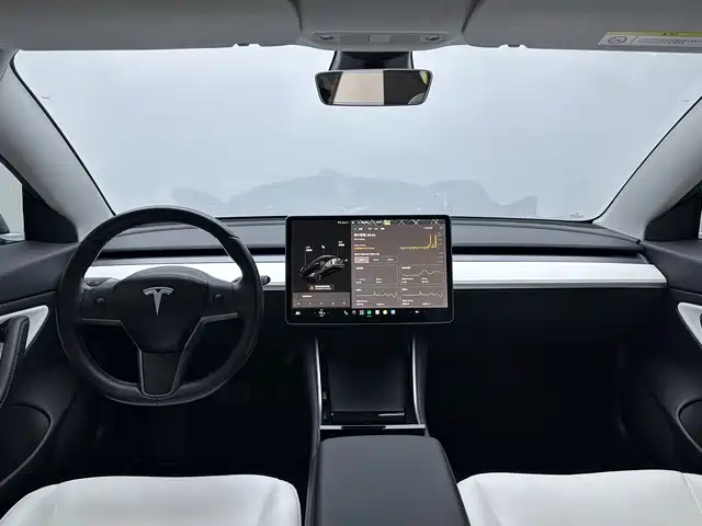 Tesla Model 3 (Import) 2019 2019 Long Range RWD Version