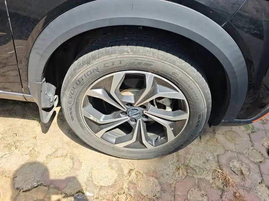 Haval Shenshou 2023 2022 1.5T Smart Enjoyment Edition