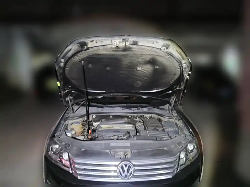 Volkswagen Magotan 2012 2012 Facelift 1.8TSI Luxury