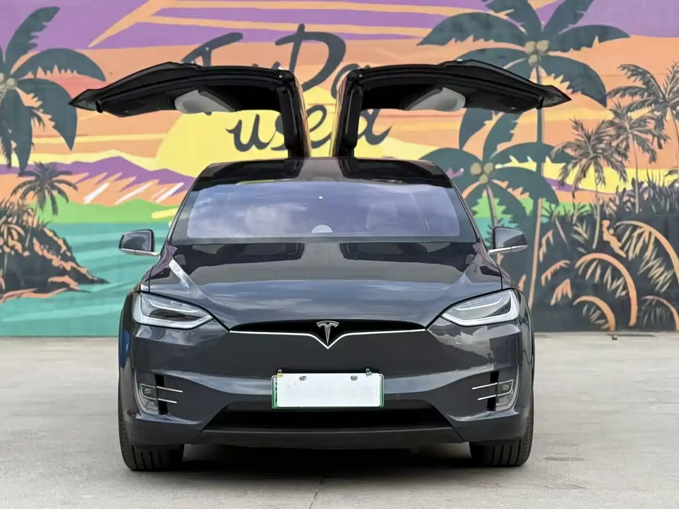 TESLA MODEL X