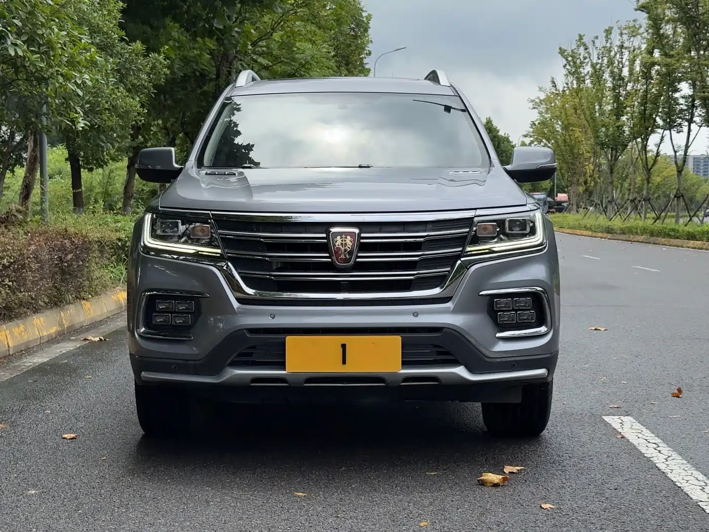 Roewe RX8 2019 2018 30T 2WD Flagship Edition
