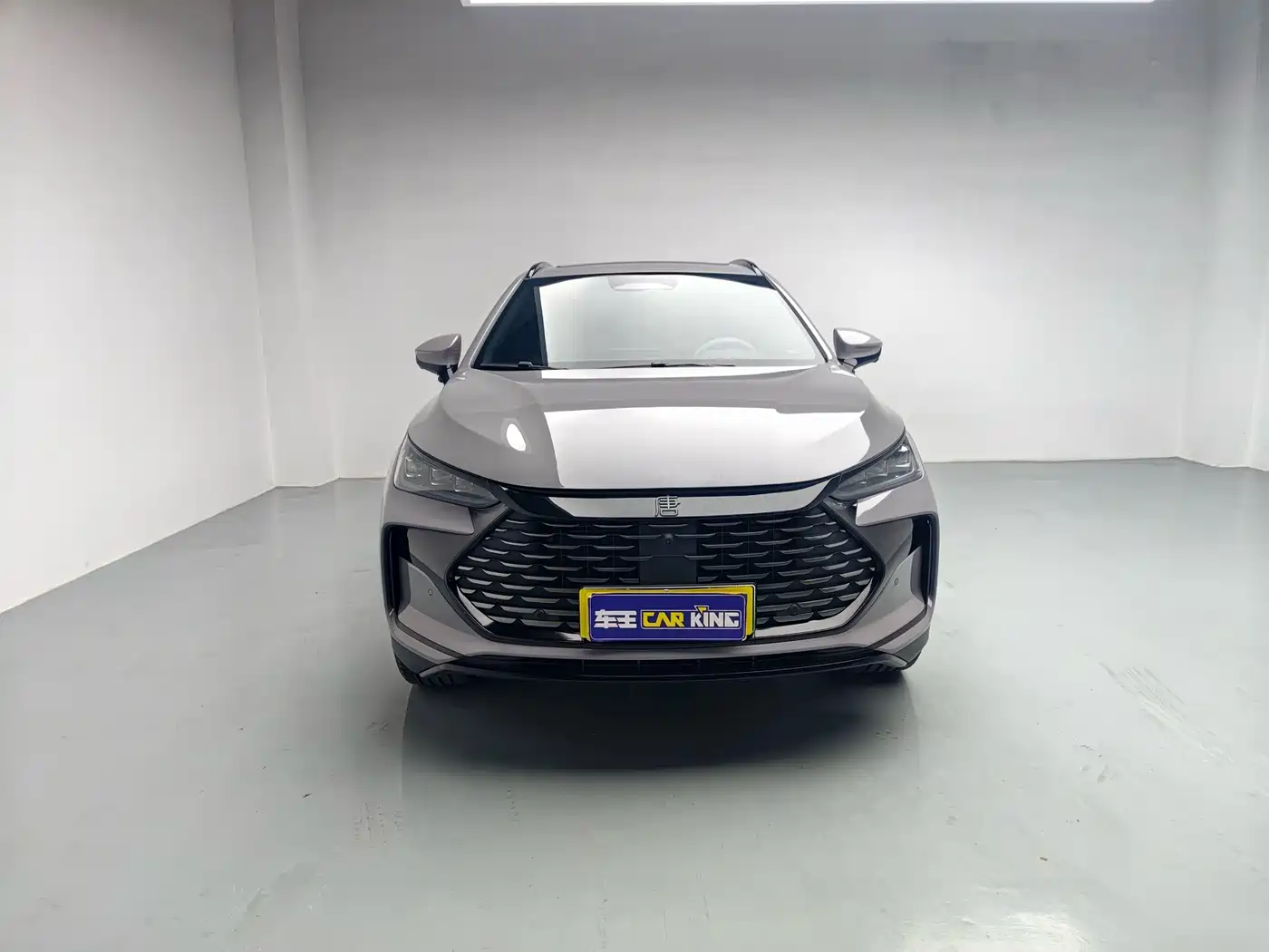 BYD Tang New Energy 2025 2025 Smart Driving Edition DM-i 115KM Flagship