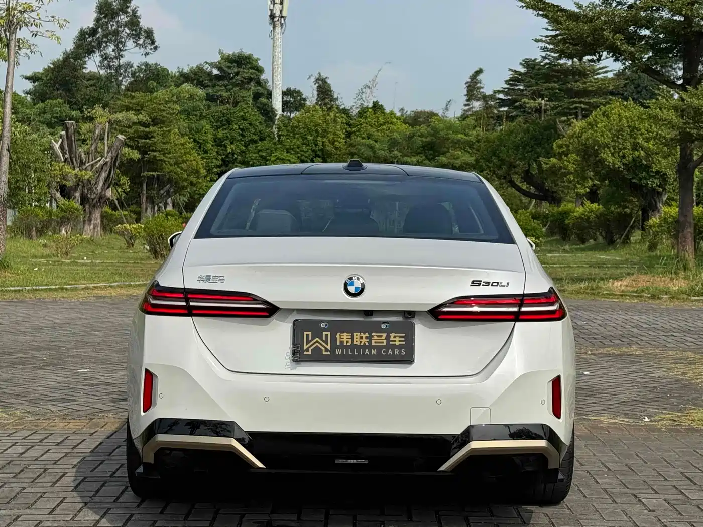 BMW 5 Series 2024 530Li Premium M Sport Package фото 7