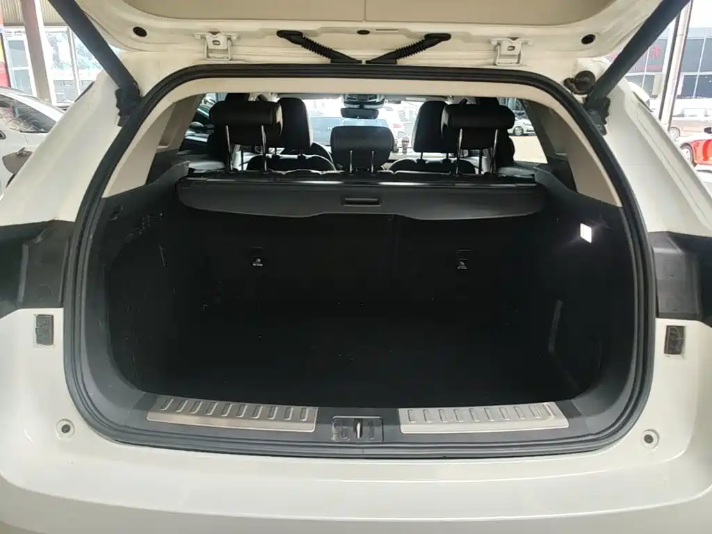 WEY VV6 2018 2018 2.0T 2WD Super Luxury China V