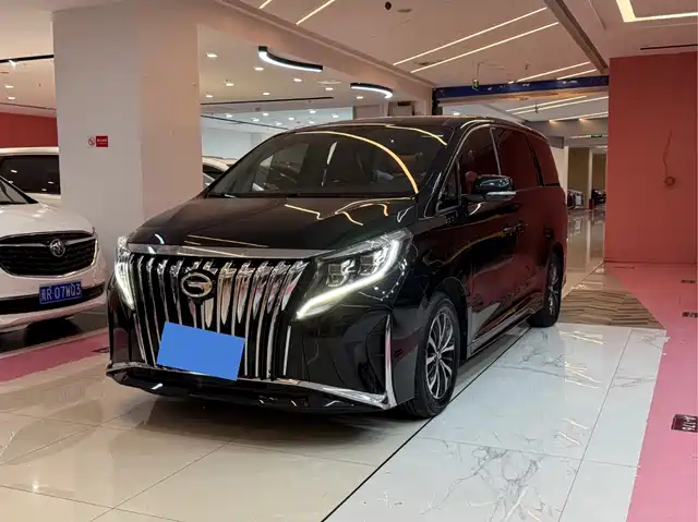 Trumpchi M8 Elegance Series, 390T, Люкс