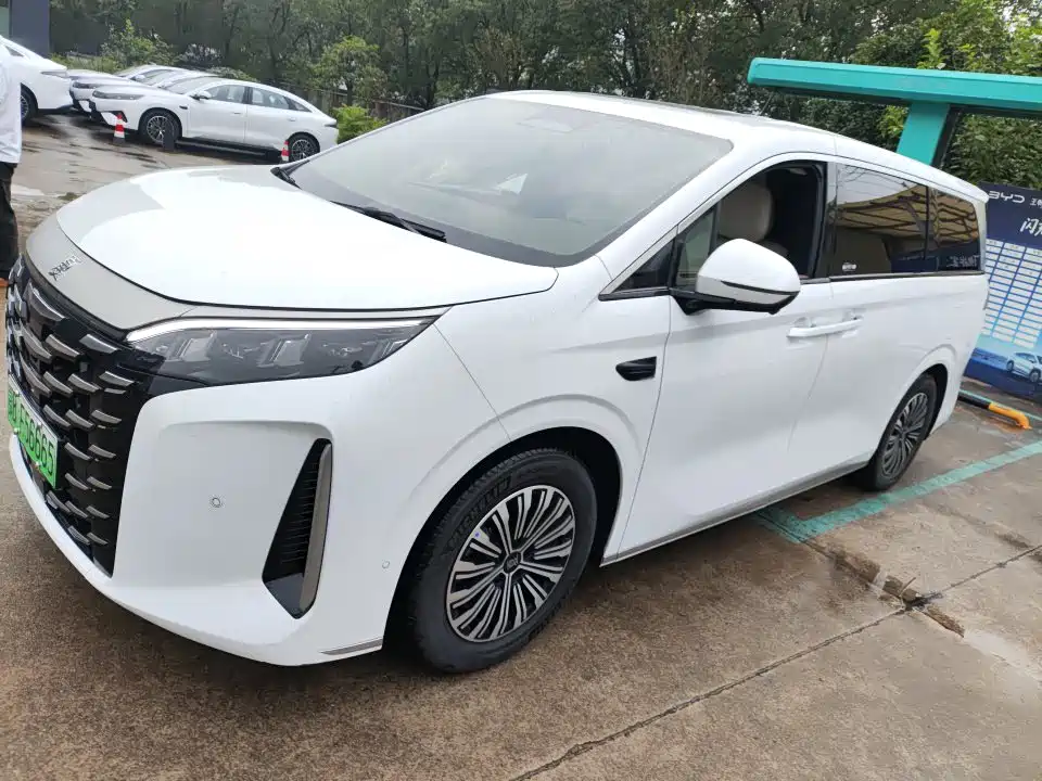BYD Xia 2025 — пригон из Китая
