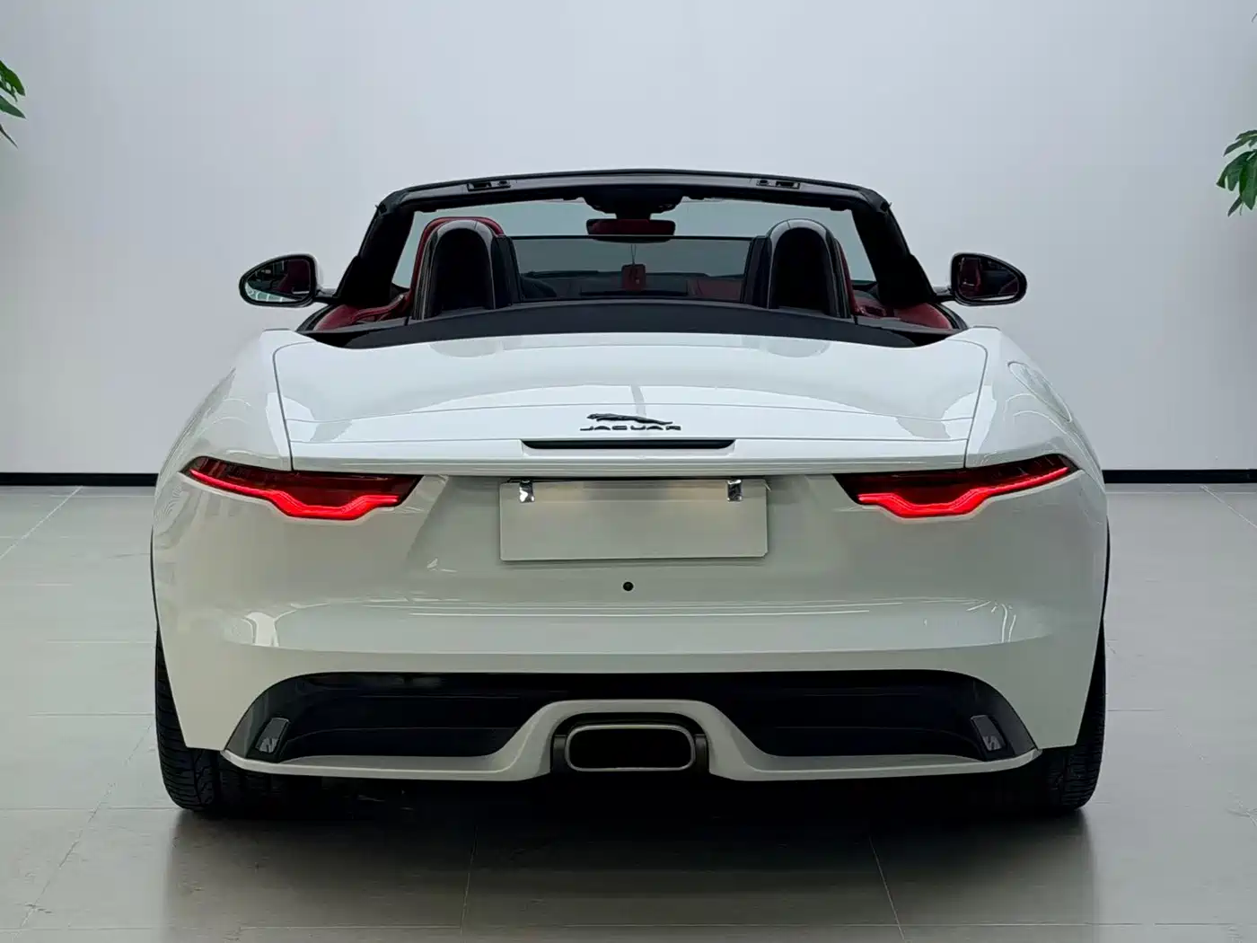 Jaguar F-TYPE 2024 2024 P300 75th Anniversary Collector's Convertible Edition
