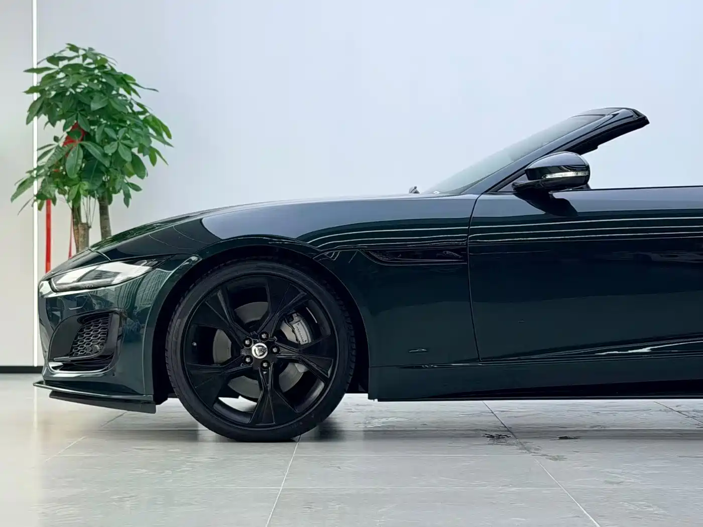 Jaguar F-TYPE 2024 2024 P300 75th Anniversary Collector's Convertible Edition