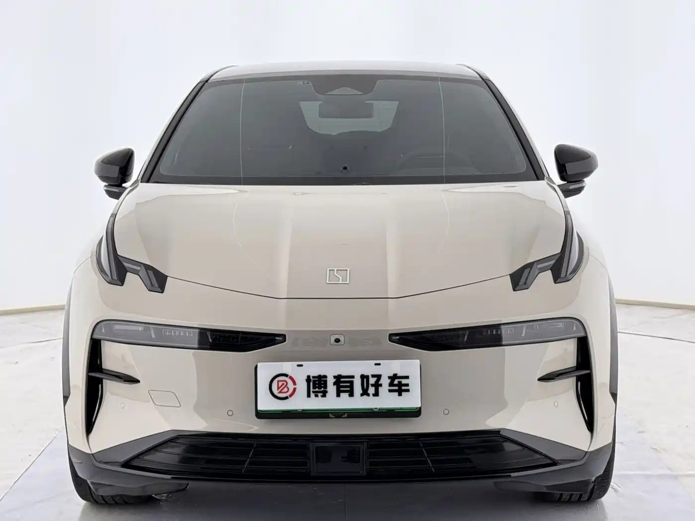 ZEEKR X 2023 2023 RWD YOU Edition 4-seater
