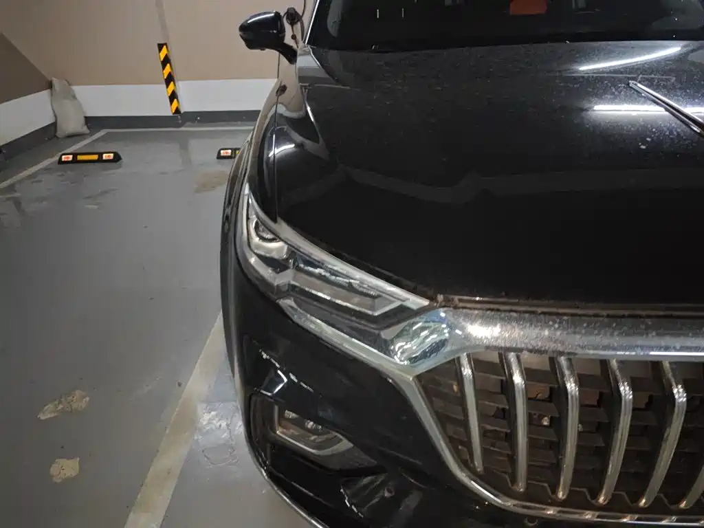 Hongqi HS5 2019 2.0T Smart Connect Enjoy Edition фото 14