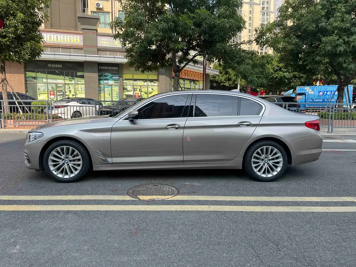 BMW 5 Series 2018 530Li Leading Luxury Package фото 6