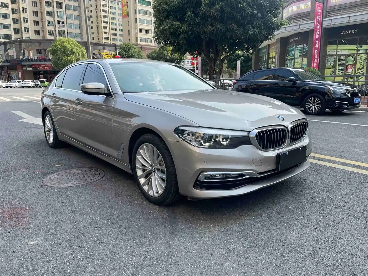 BMW 5 Series 2018 530Li Leading Luxury Package фото 4