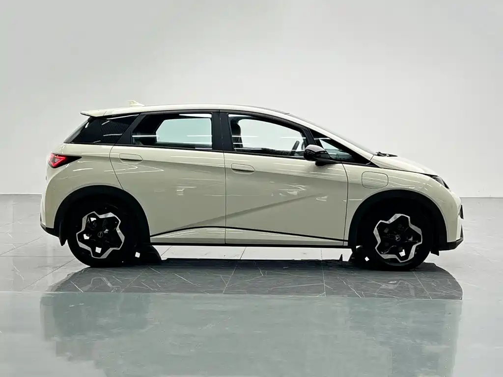BYD Dolphin 2022 2021 Model 405km Fashion Edition