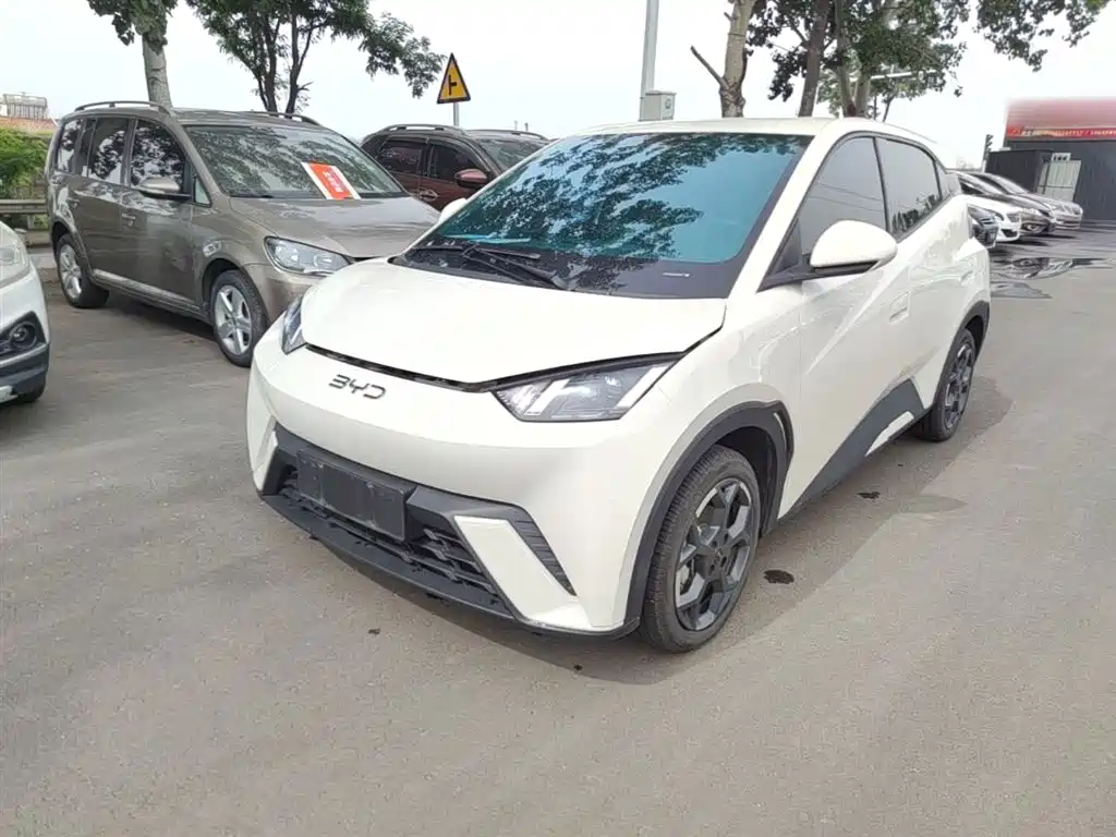BYD Seagull 2025 305km Freedom