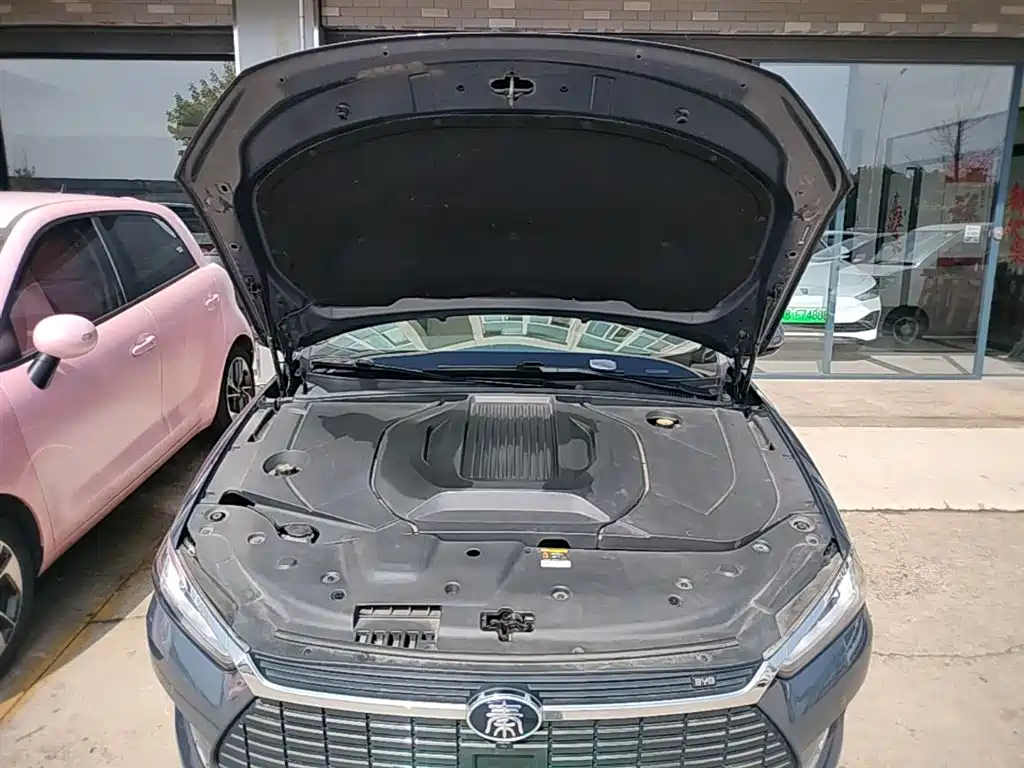 BYD Qin Pro New Energy 2019 EV Super Edition High Power Long Range Smart Connected Pioneer Type фото 20