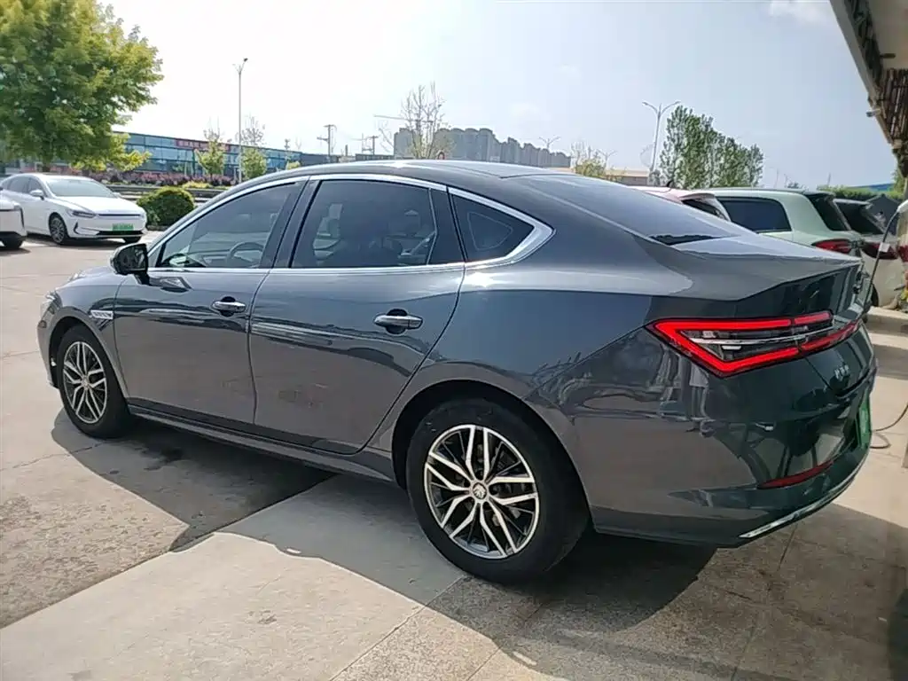 BYD Qin Pro New Energy 2019 EV Super Edition High Power Long Range Smart Connected Pioneer Type фото 5