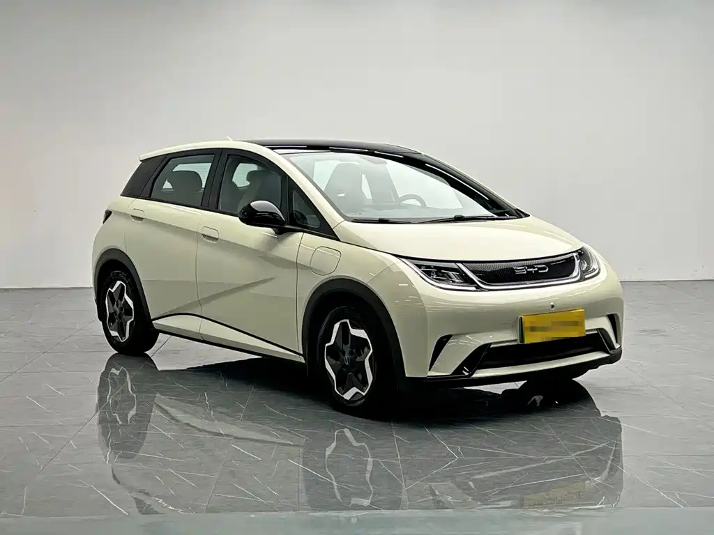 BYD Dolphin 2022 2021 Model 405km Fashion Edition