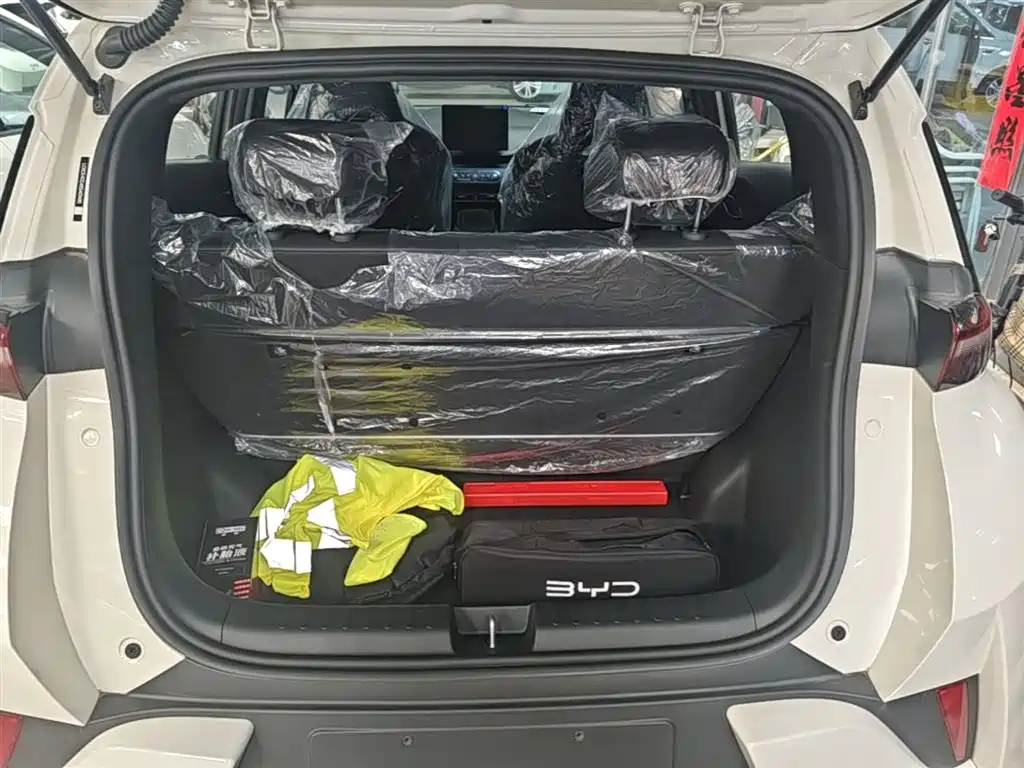 BYD Seagull 2025 Smart Drive Edition 305km Vitality Version фото 15