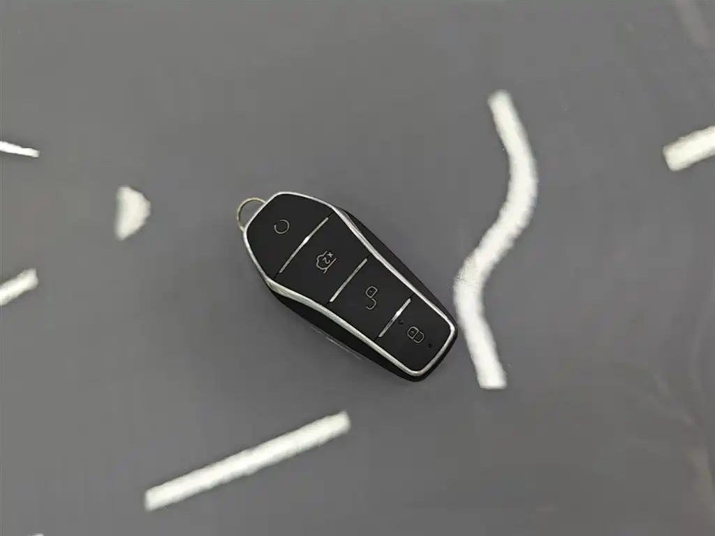 BYD Hai Shi 05 EV 2025 520KM Smart Navigation Edition фото 9