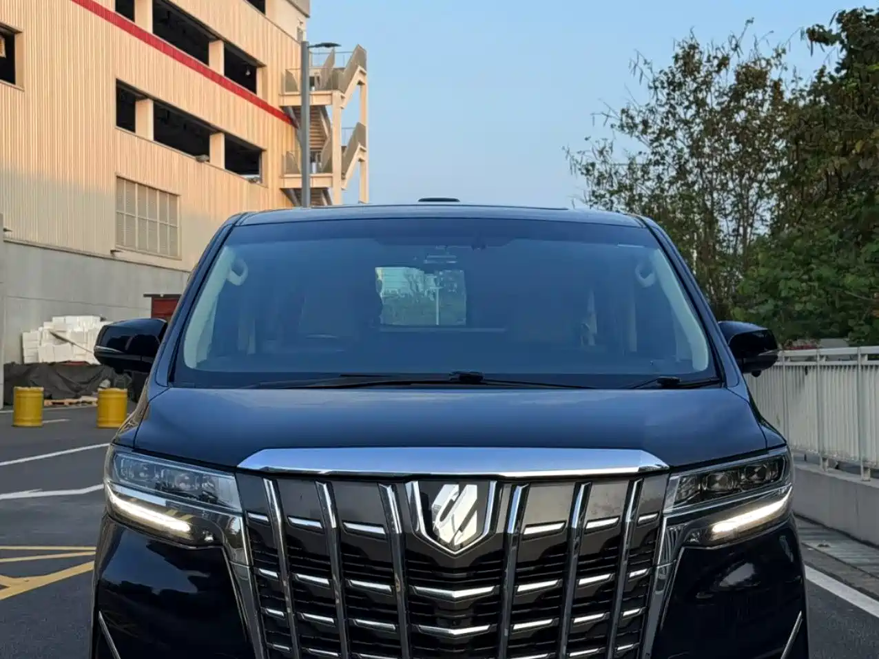 Toyota Alphard 2018 3.5L Luxury фото 2