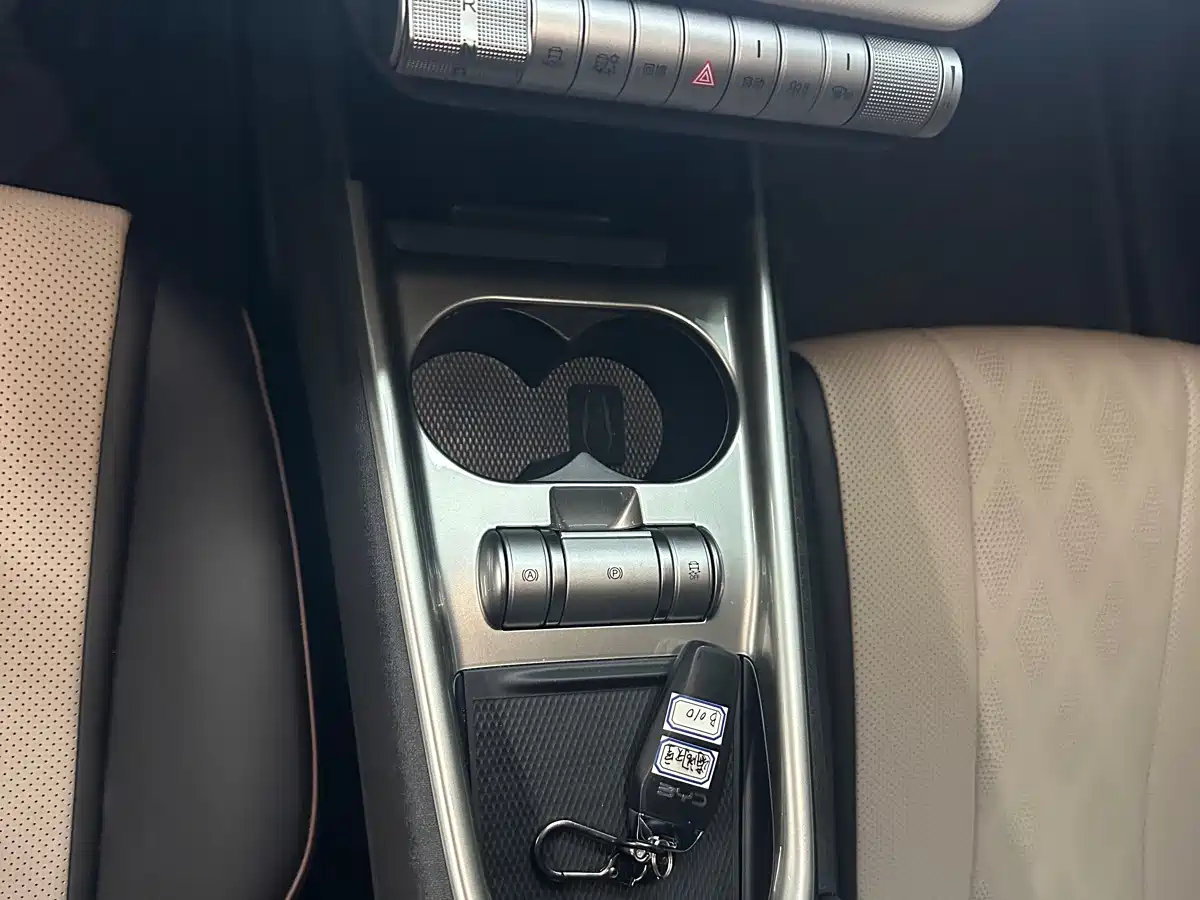 BYD Dolphin 2026 2025 420km Freedom Edition