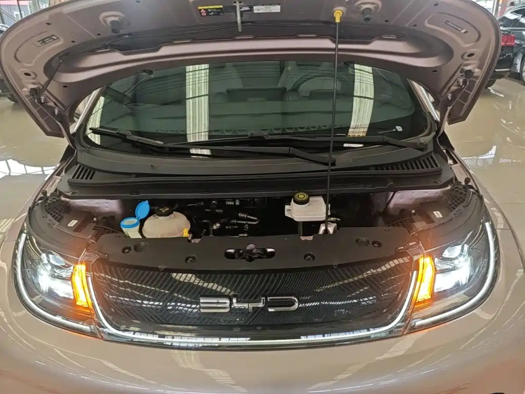 Фото 20 - BYD Dolphin