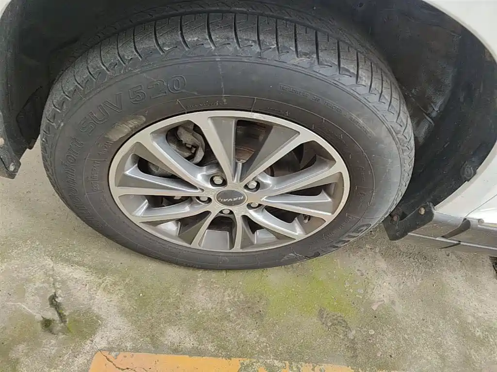 Haval H6 2018 Blue Label Sport 1.5T Automatic 2WD Premium фото 23
