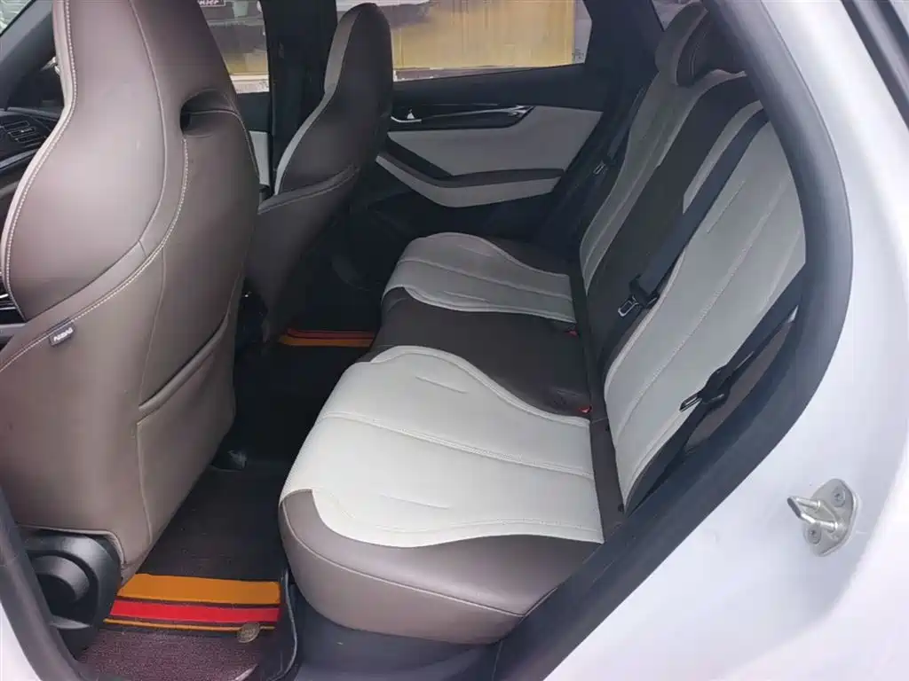 BYD Qin PLUS 2024 Glory Edition DM-i 55KM Leading фото 17