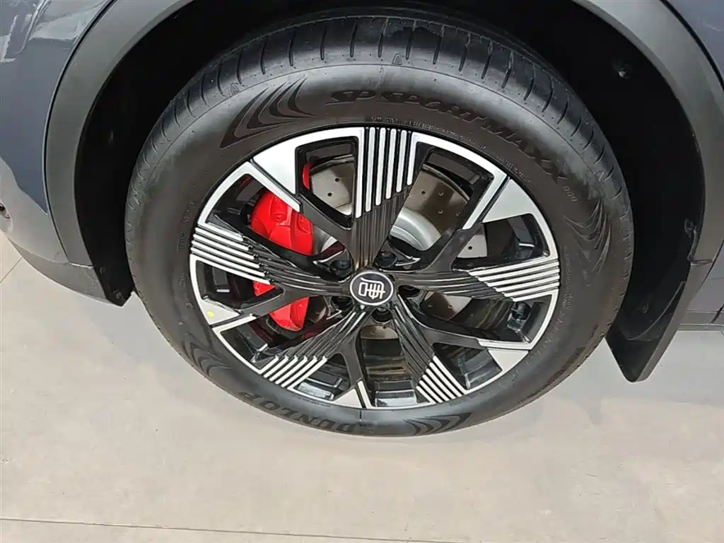 BYD Tang New Energy 2024 DM-p Glory Edition 215KM AWD Premium фото 23