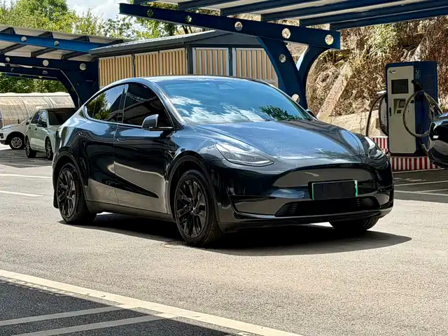 Tesla Model Y 2022 Facelift Rear-Wheel Drive Version — фото 3