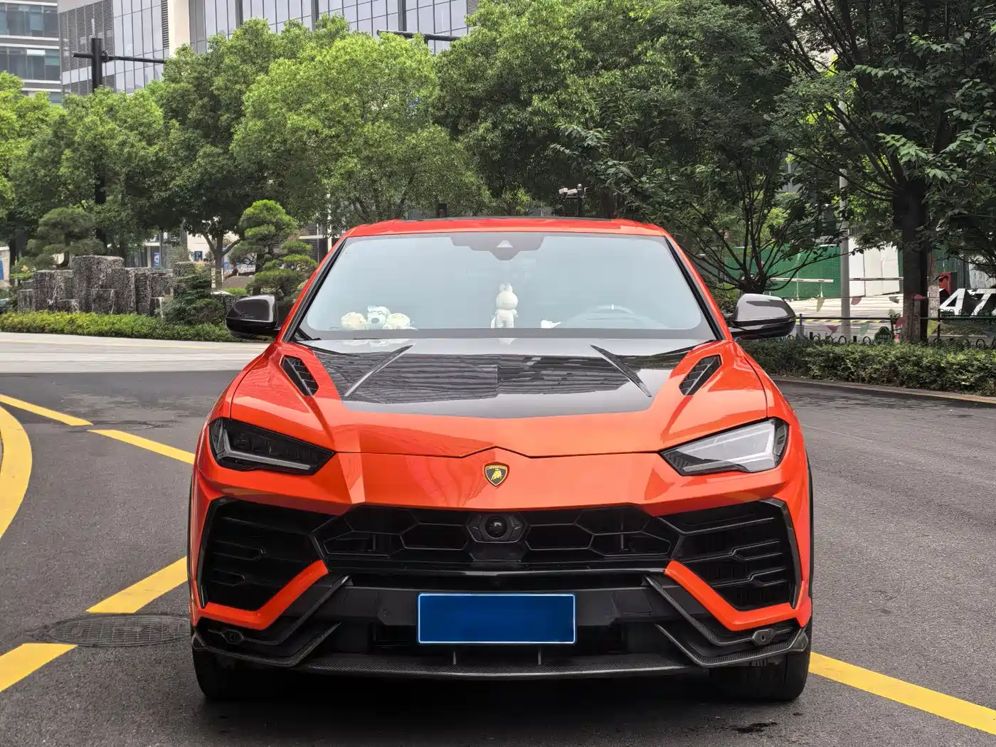 Lamborghini Urus 2021 4.0T V8 фото 2