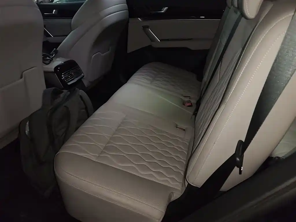 BYD Tang New Energy 2025 DM-i 115KM Premium фото 17