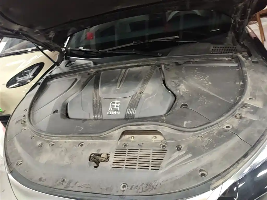 BYD Tang New Energy 2025 DM-i 115KM Premium фото 20