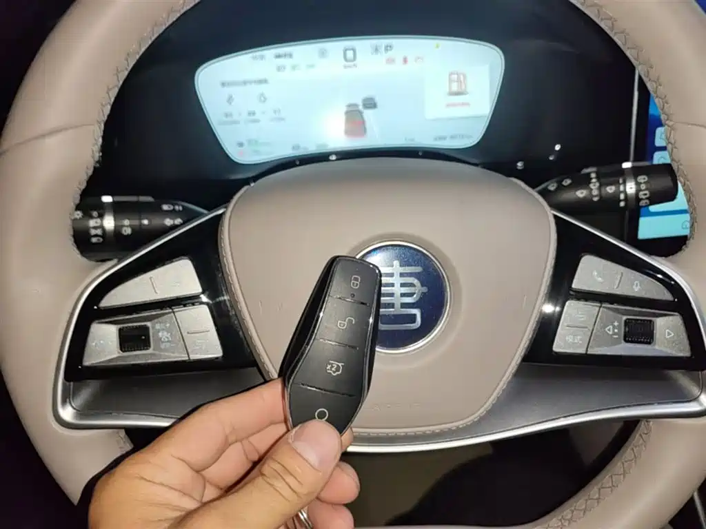 BYD Tang New Energy 2025 DM-i 115KM Premium фото 9