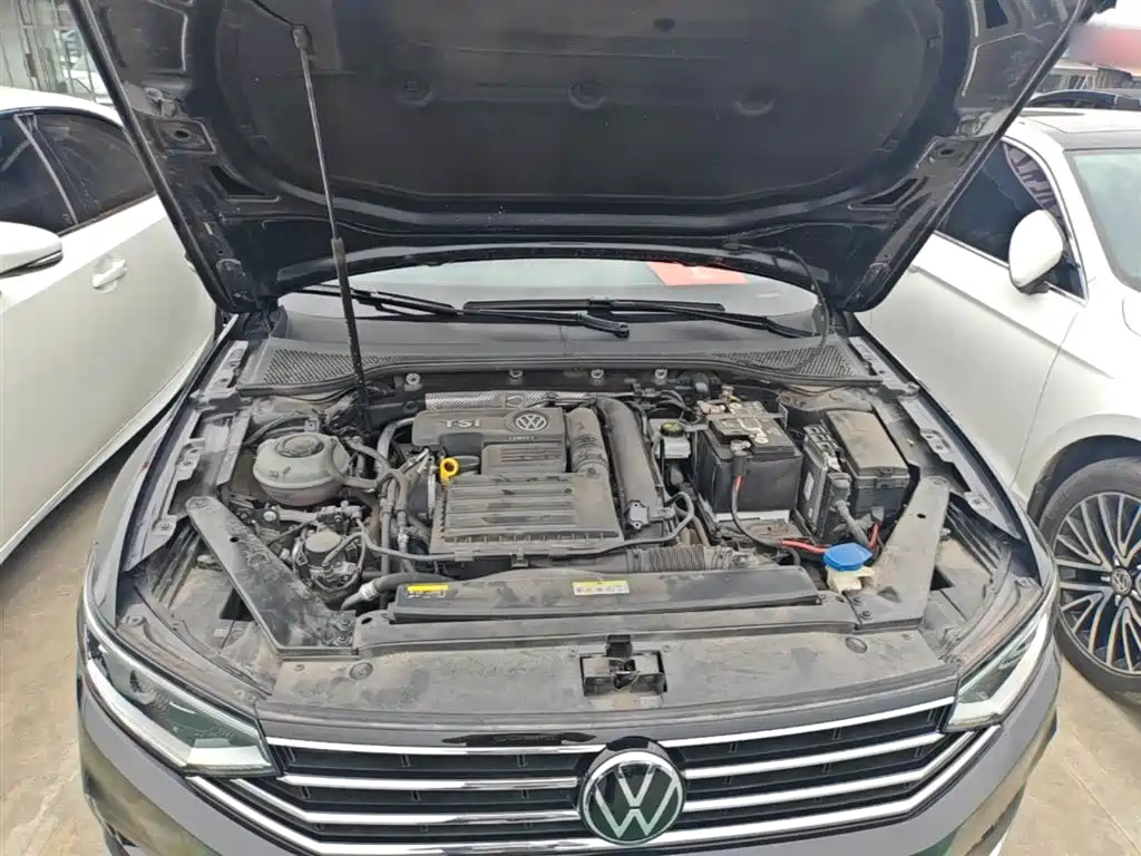 Volkswagen Magotan 2020 280TSI DSG Leading фото 16