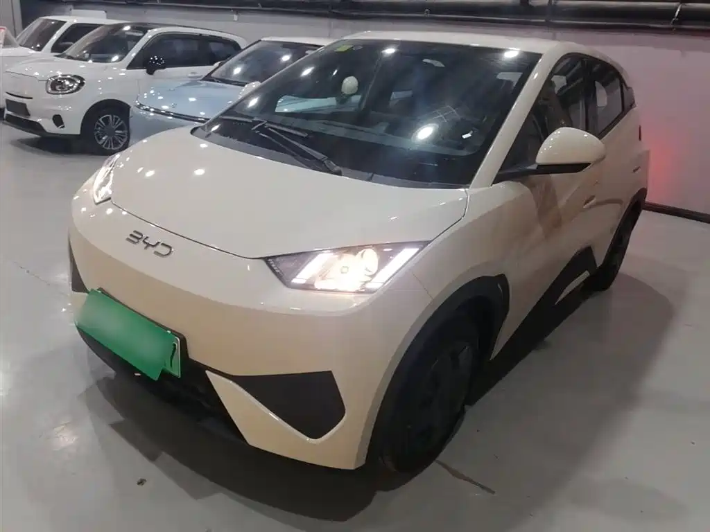 BYD Seagull 2025 Smart Drive Edition 305km Vitality Version фото 2