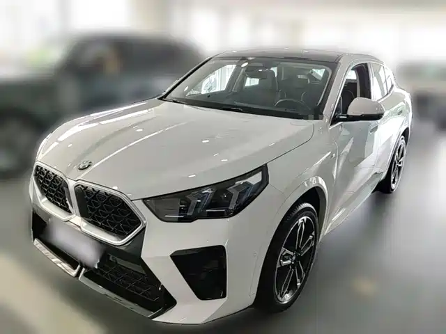  BMW BMW X2 (Import) 2024 sDrive25i M Sport Package